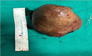 Screenshot_20240219_171522_Microsoft 365 (Office)