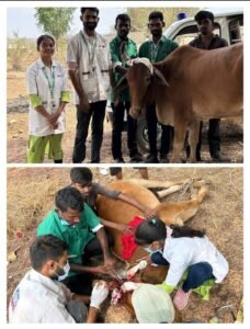 Screenshot_20240613_083646_WhatsApp