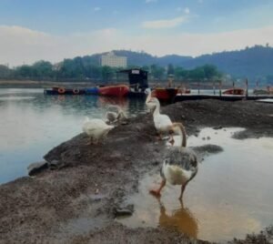 Screenshot_20240614_105033_WhatsApp