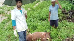 Screenshot_20240823_172100_WhatsApp