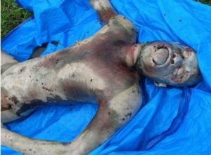 Screenshot_20240906_142323_Samsung Notes