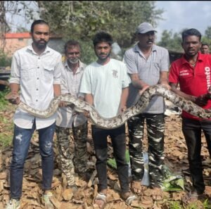 Screenshot_20240921_104009_WhatsApp