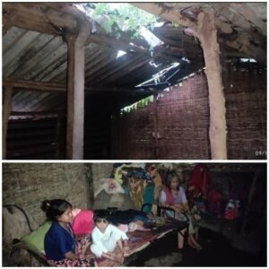 Polish_20241010_125226422