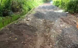 Screenshot_20241001_114257_WhatsApp