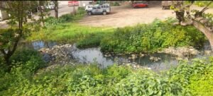 Screenshot_20241005_102620_WhatsApp