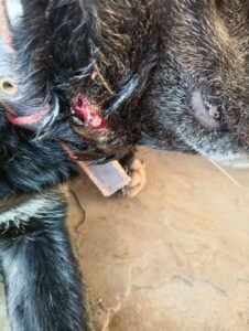 Screenshot_20241006_082739_WhatsApp