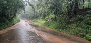 Screenshot_20241011_095701_WhatsApp