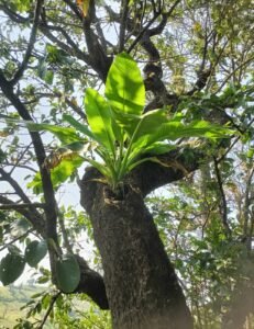 Screenshot_20241015_091421_WhatsApp