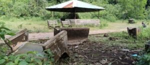 Screenshot_20241023_131134_WhatsApp