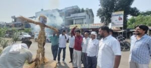 Screenshot_20241026_123109_WhatsApp