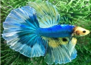 Screenshot_20250101_110554_Microsoft 365 (Office)