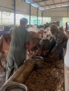 Screenshot_20250918_125026_WhatsApp