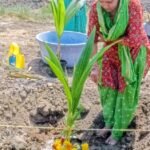 અખાત્રીજે મહિલા પોતાનાં નવીન નાળિયેરી ફાર્મમાં દીપ જ્યોતિ પ્રગટાવી ધરતીમાતાની આગવી રીતે પૂજાવિધિ કરતી કેમેરામાં કેદ થઈ