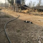 ડોલવણ તાલુકાના આમણીયા જૂથ ગ્રામ પંચાયતમાં વિકાસનાં કામોમાં ભ્રષ્ટાચાર થયાની ગ્રામજનોની રાવ : કસૂરવારો સામે પગલા ભરવા સ્થાનિકોની માંગ !!