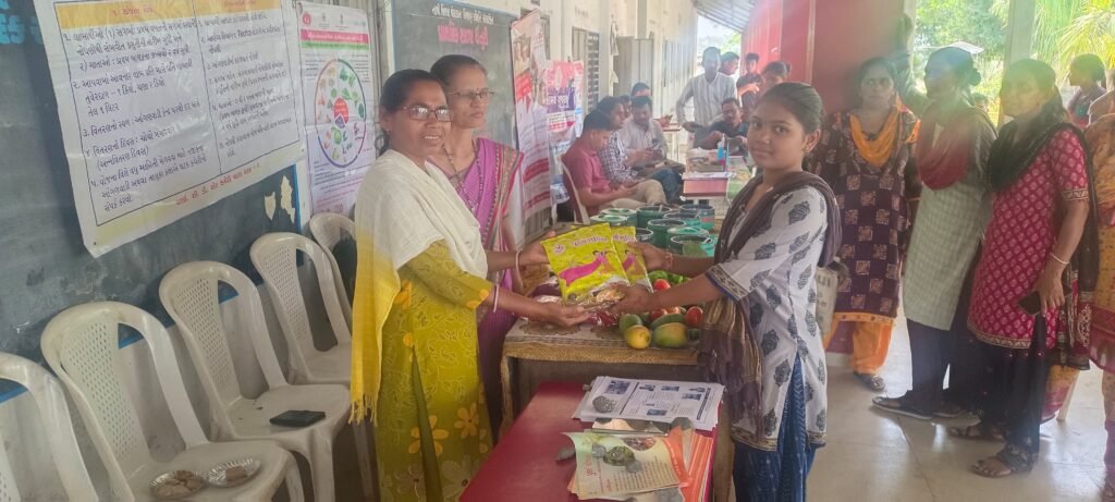 Dolavan dhanturi villege dharti aaba camp