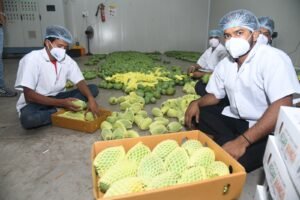 Kesar keri