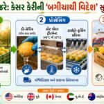 લંડન હીથ્રો એરપોર્ટ ગુજરાતની કેસરની સુગંધથી મહેક્યું : સાત સમંદર પાર ગુજરાતી કેરીનો દબદબો