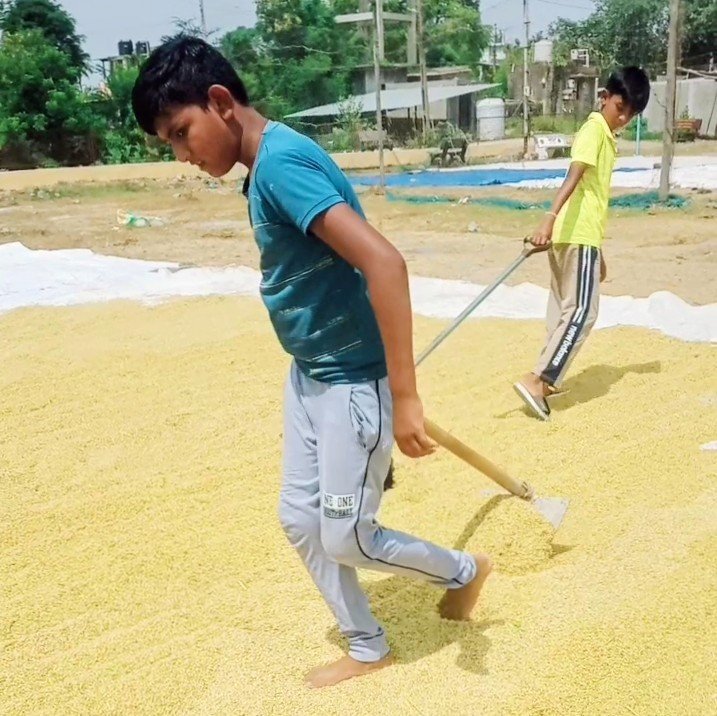 Farmer works in 45 degree heat for produce food for us.