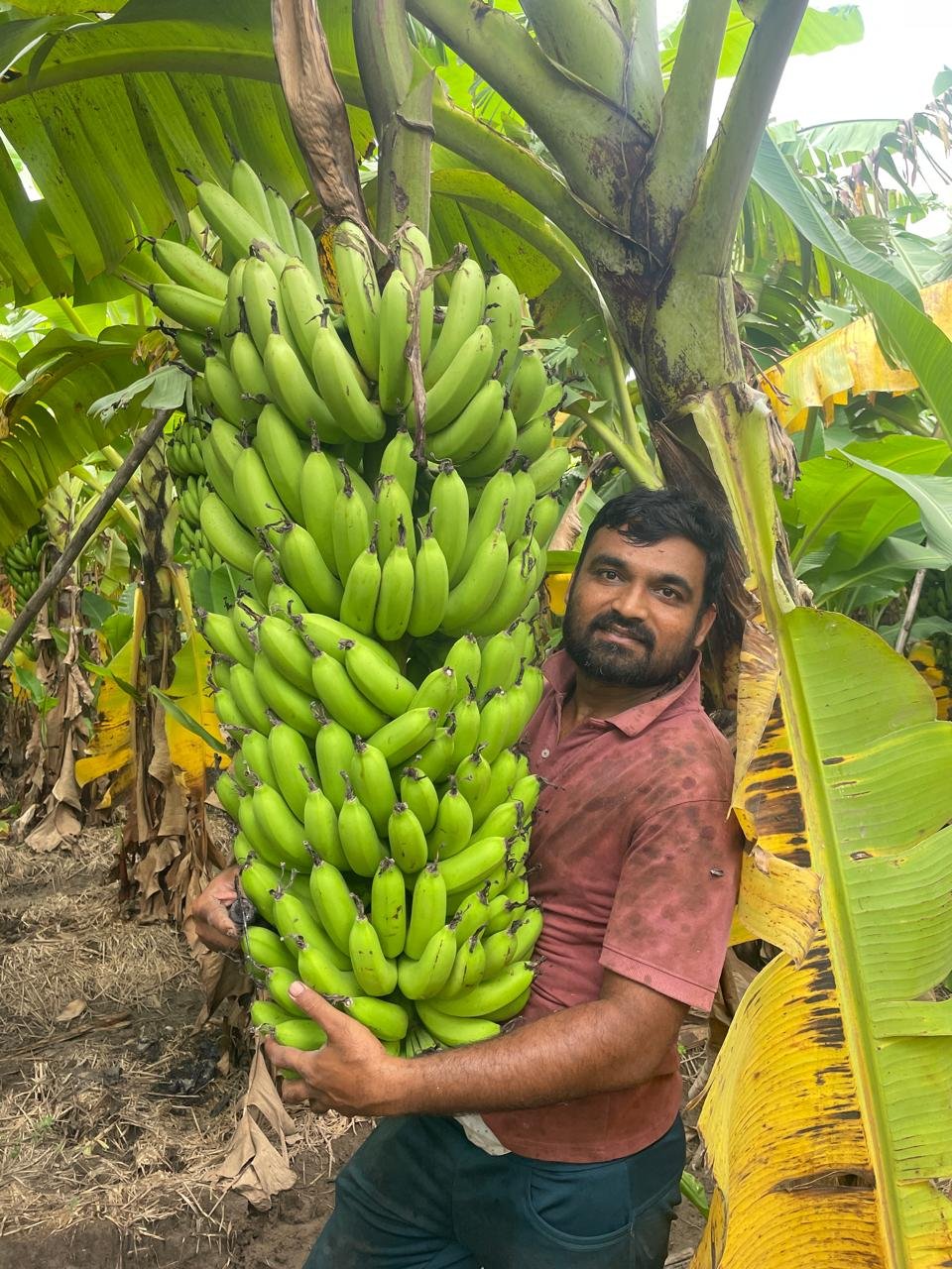 Farmer kalpesh patel from olpad, roll model in natural farming.