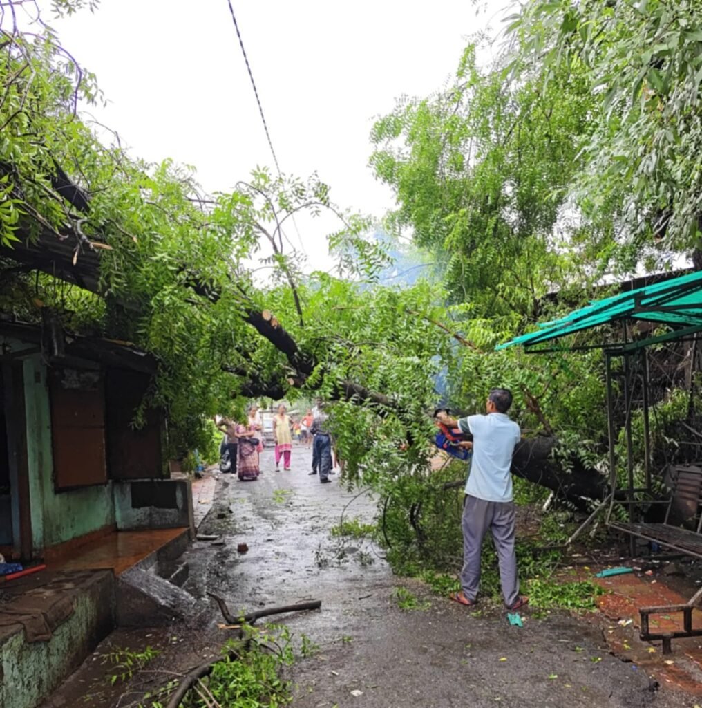 વ્યારાના કપુરામાં ઘર પર પડેલું ઝાડ તંત્રએ અર્ધા કલાકમાં હટાવી રસ્તો ખુલ્લો કર્યો