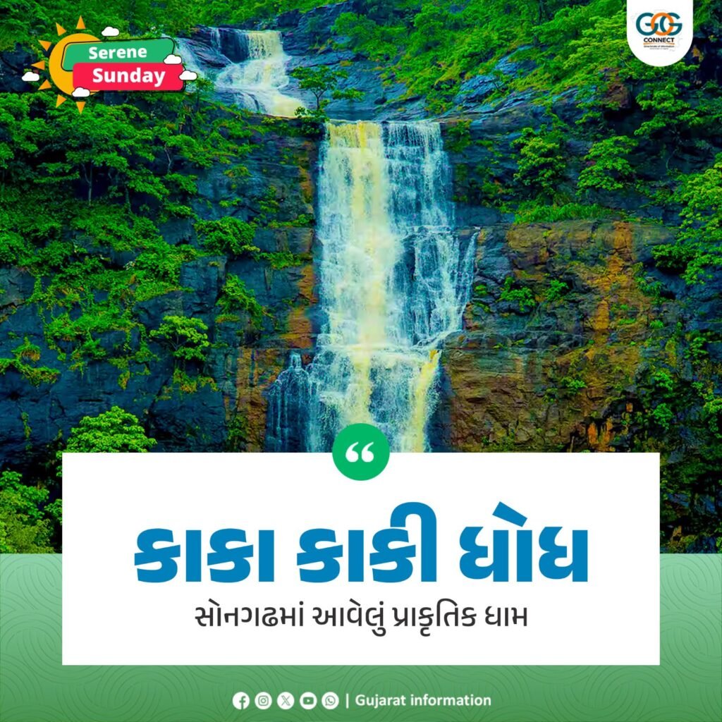 સોનગઢના ગુસરગામની હદમાં આવેલો ‘કાકા-કાકી’ ધોધ બન્યો કુદરતી આકર્ષણનું કેન્દ્ર