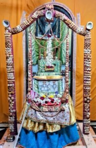પવિત્ર શ્રાવણ માસમાં હાંસોટનાં વિવિધ મંદિરોમાં હિંડોળા દર્શન 