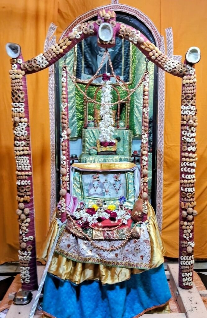 પવિત્ર શ્રાવણ માસમાં હાંસોટનાં વિવિધ મંદિરોમાં હિંડોળા દર્શન 